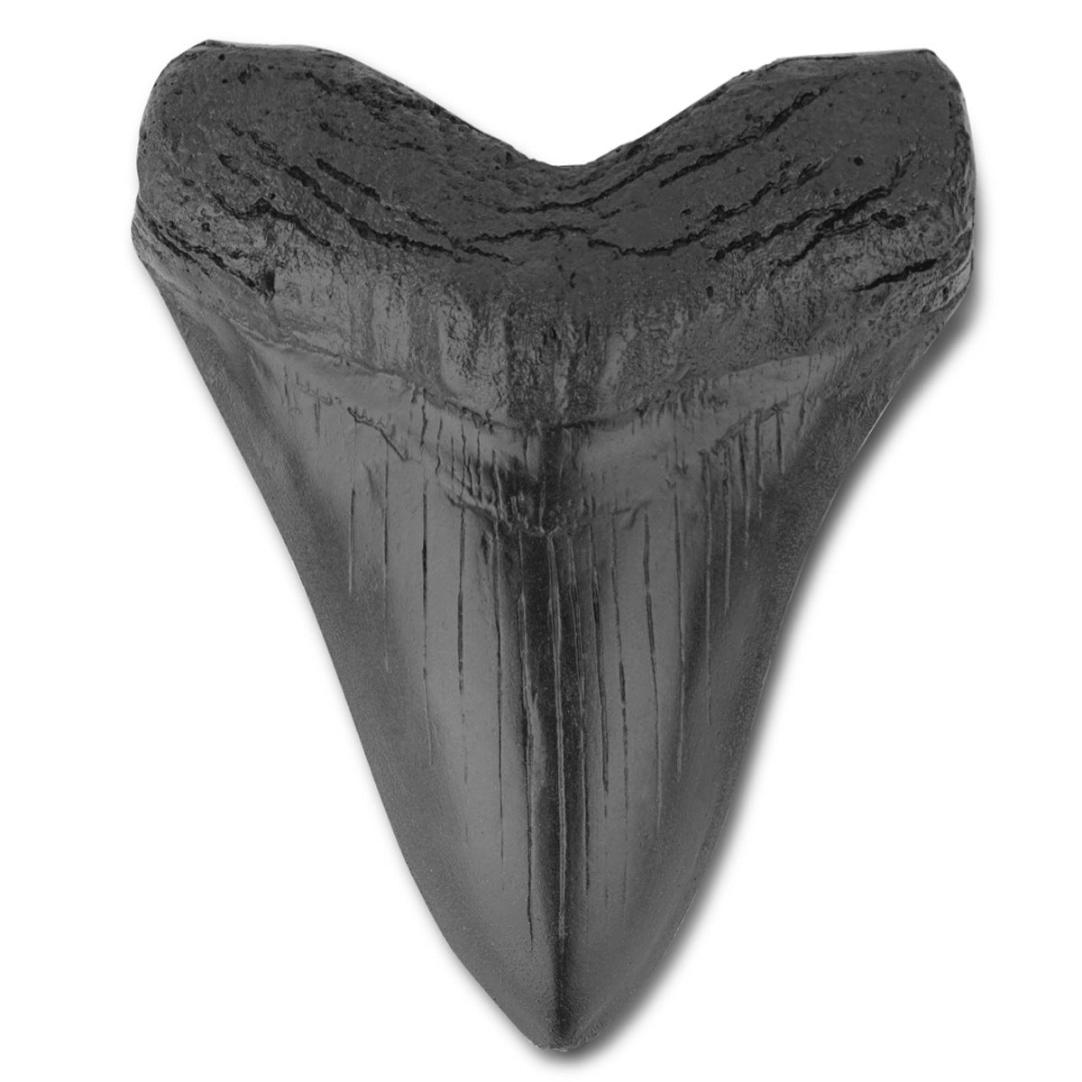 Resin crafts, retro simulation shark teeth, animal teeth, auspicious indoor decoration ornaments
