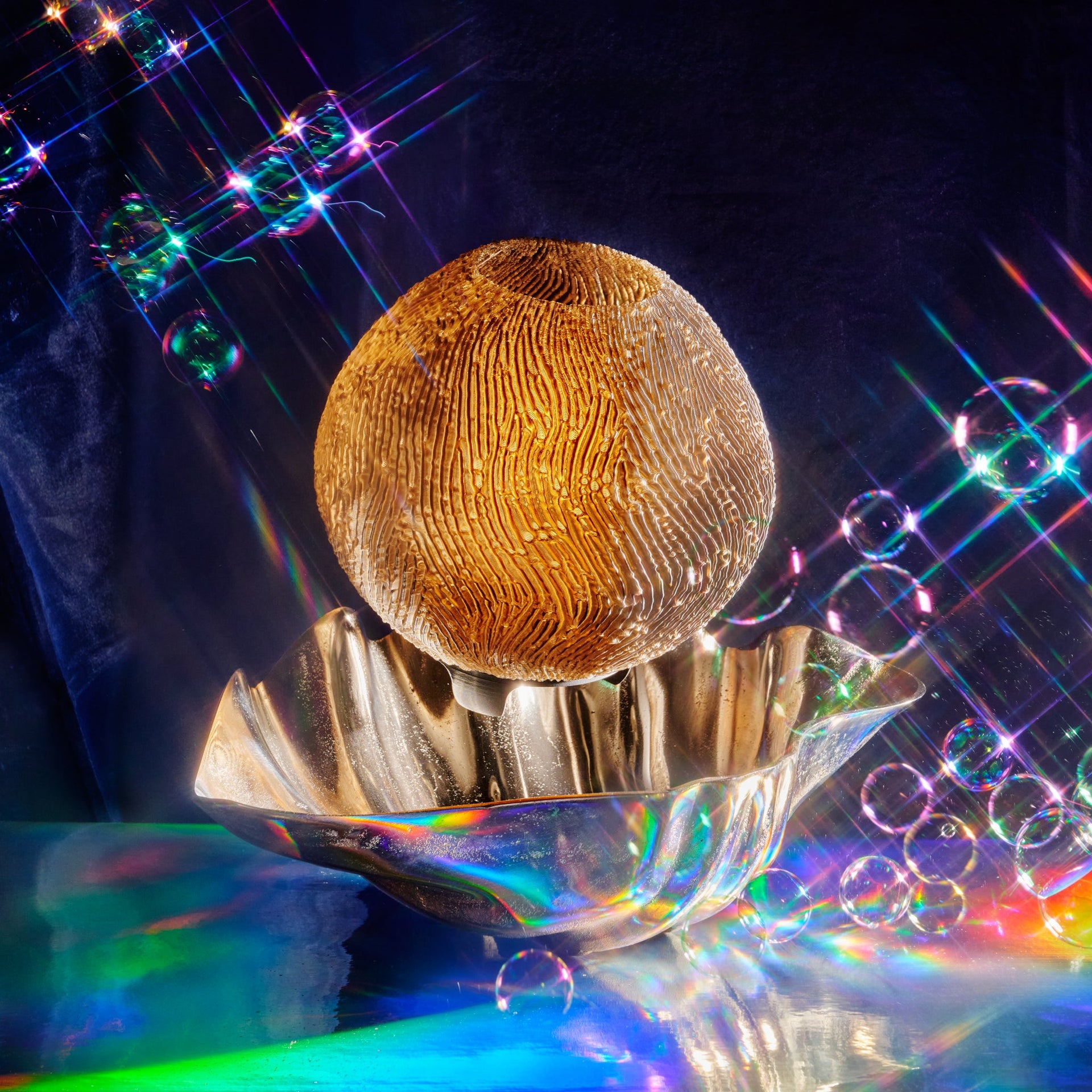 Coral Lamp