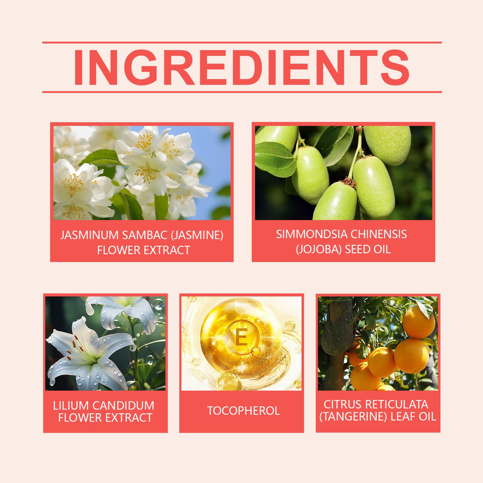 Jasmine Light Perfume Flower Fruit Fragrance Natural Fresh Mild Lasting Light Fragrance Portable Charm Staying Perfume