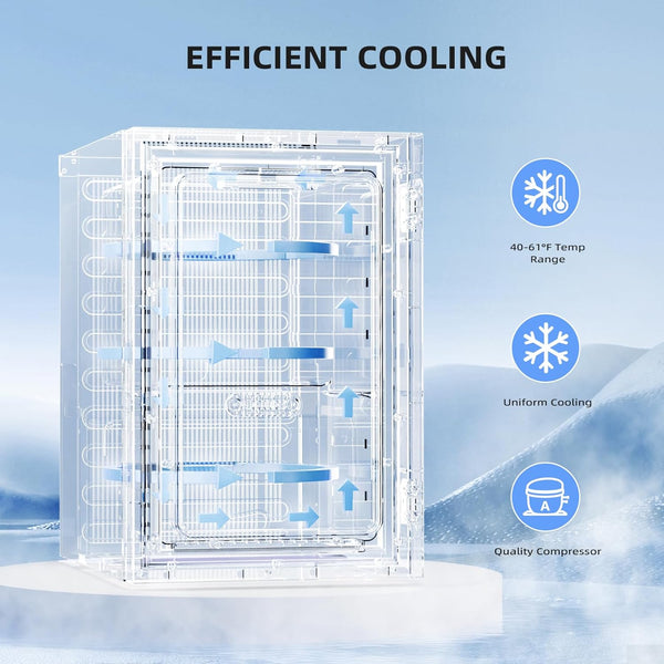 0.6Cu. Ft. Freestanding Wine Cellar Mini Fridge, 4-Bottle Red Wine with 6-Can Beverage Refrigerator, Quiet Compressor, LED Light and Display