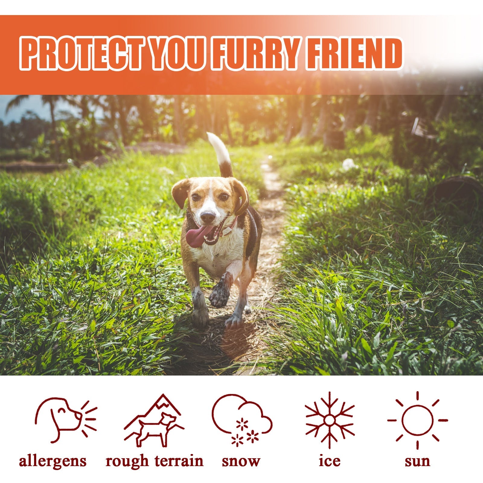 Pet Foot Care Cream For Animals, Cats, Dogs And Paws Foot Care Cream For Soles And Pads