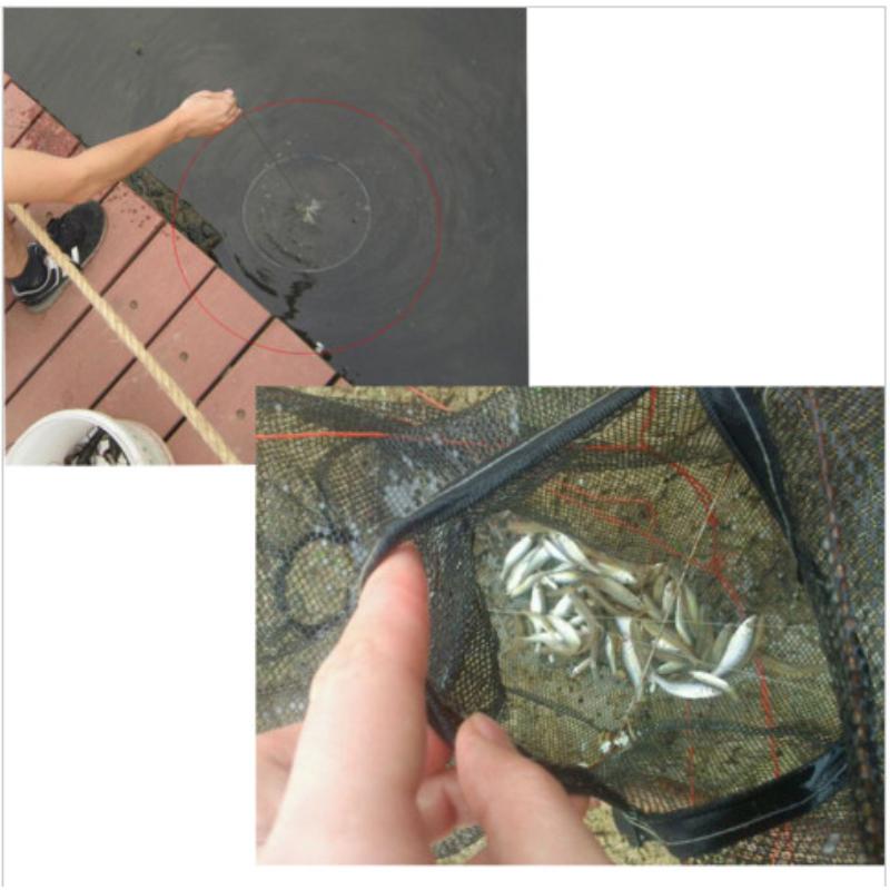 12 Holes Foldable Crab Fish Trap Cast Net Cast Folding Fishing Net