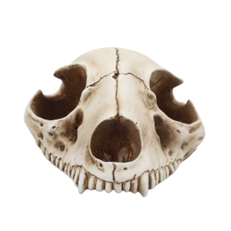 Cat Bone Base Seasoning Bottle Set Household Combination Glass Seasoning Jar Kitchen Storage Bottle