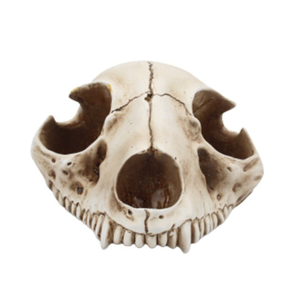 Cat Bone Base Seasoning Bottle Set Household Combination Glass Seasoning Jar Kitchen Storage Bottle