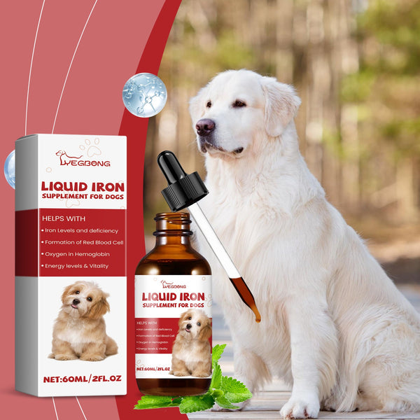 Pet Dog Syrup Pampers Pet Dogs With Gentle Ingredients To Help Absorb Care Supplements