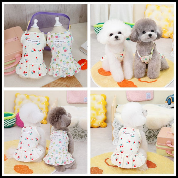 Puppy costume Teddy Schnauzer peach heart gauze skirt