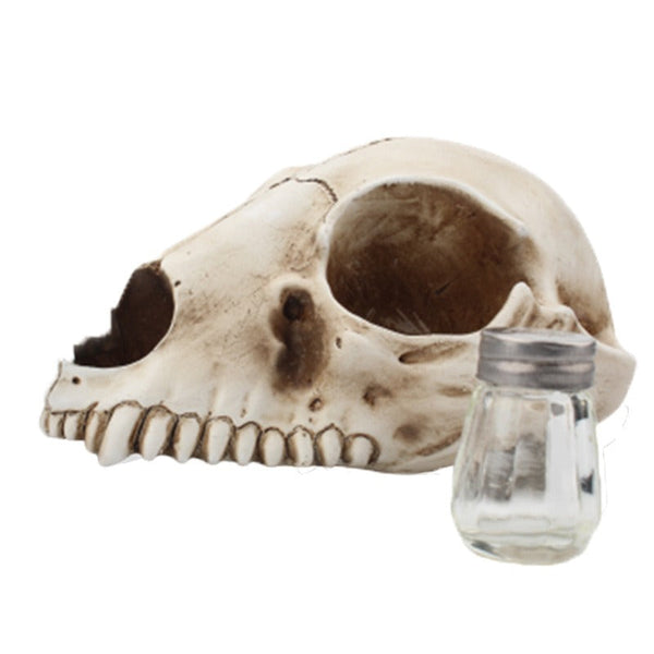 Cat Bone Base Seasoning Bottle Set Household Combination Glass Seasoning Jar Kitchen Storage Bottle