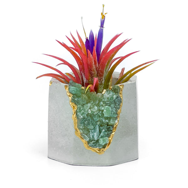 GREEN APATITE GEODE PLANTER