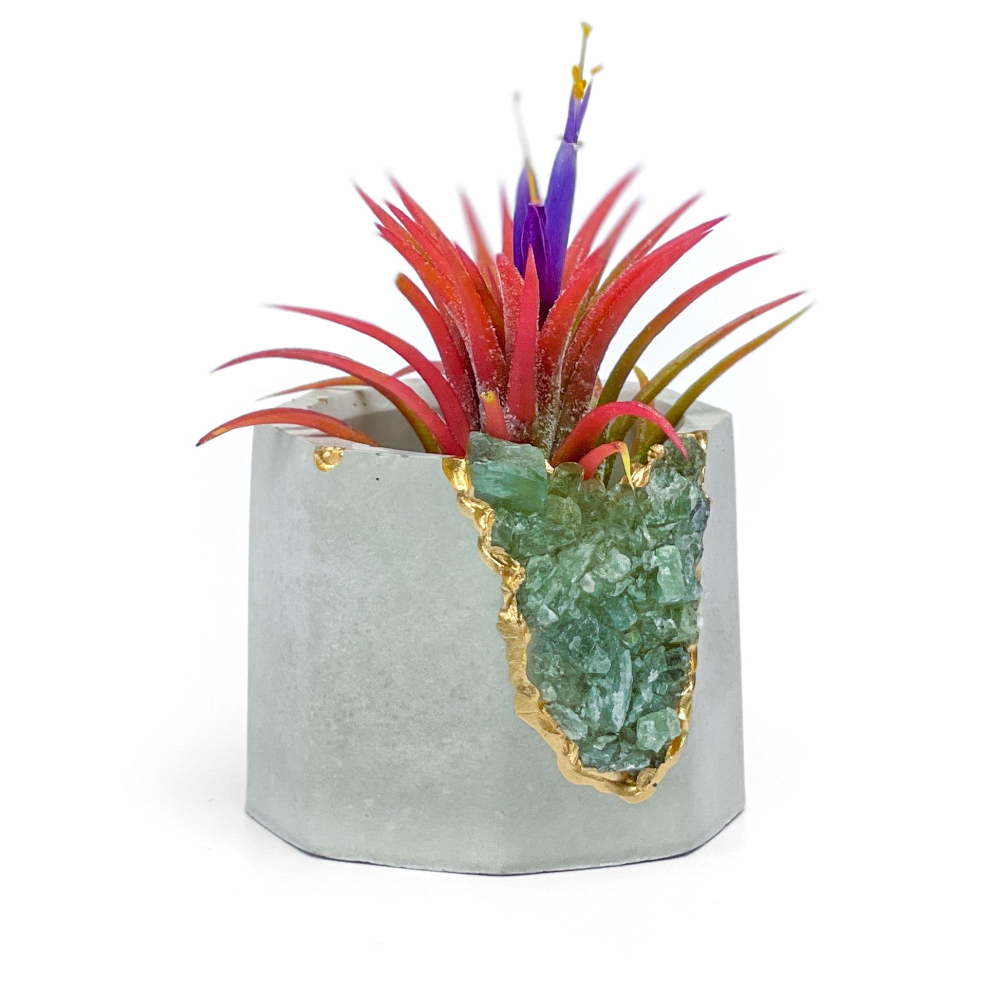 GREEN APATITE GEODE PLANTER