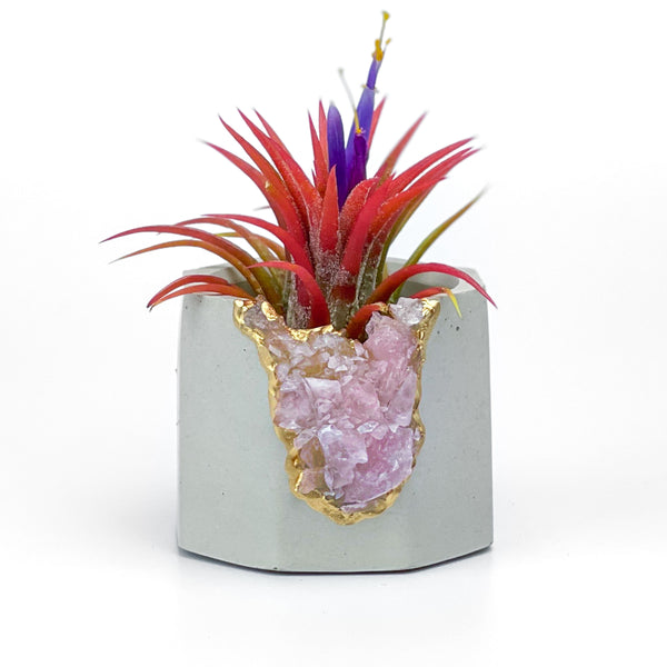 Raw ROSE QUARTZ GEODE PLANTER