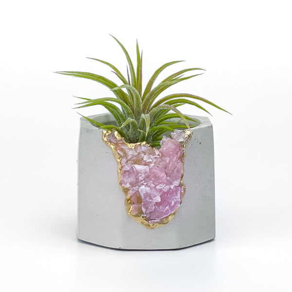 Raw ROSE QUARTZ GEODE PLANTER