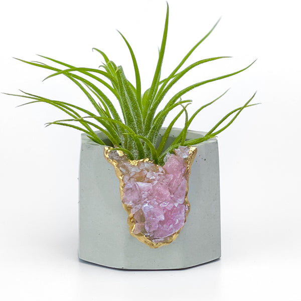 Raw ROSE QUARTZ GEODE PLANTER