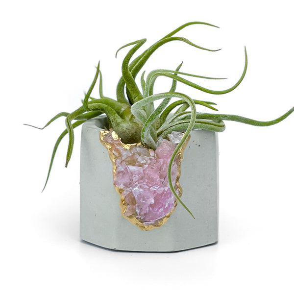 Raw ROSE QUARTZ GEODE PLANTER