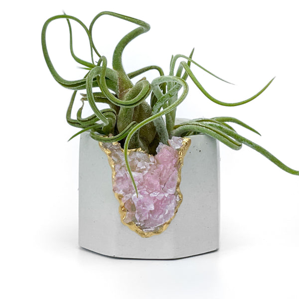 Raw ROSE QUARTZ GEODE PLANTER