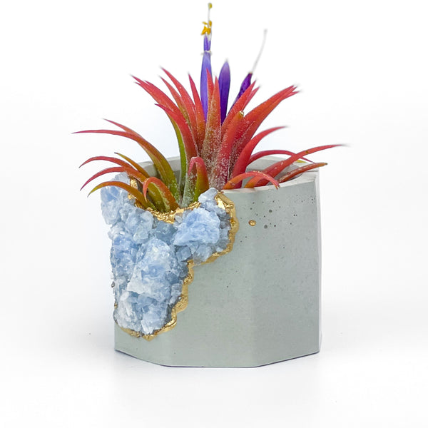 BLUE CALCITE GEODE PLANTER