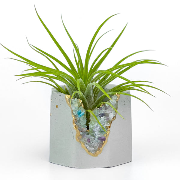 FLUORITE GEODE PLANTER