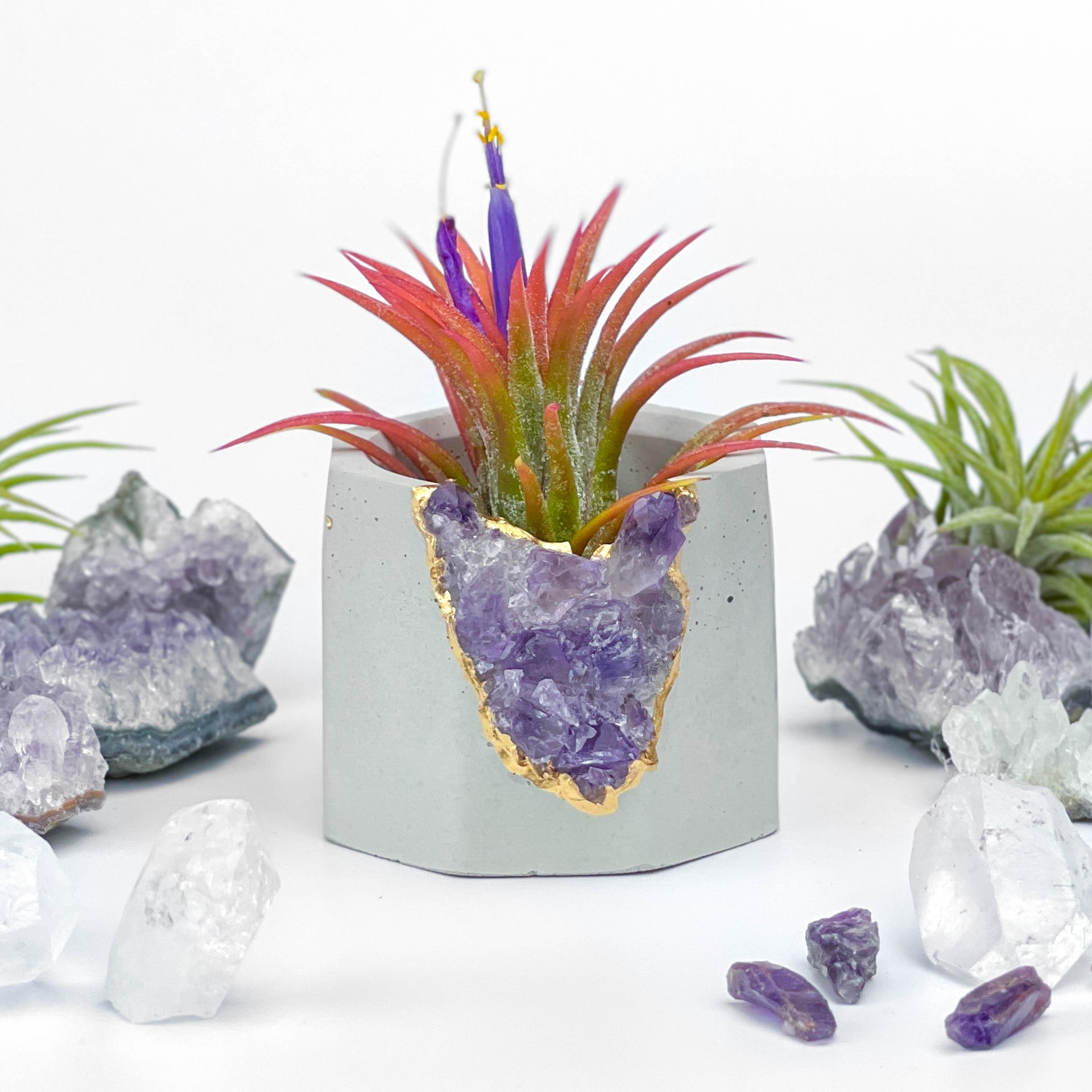 Brazil AMETHYST GEODE PLANTER