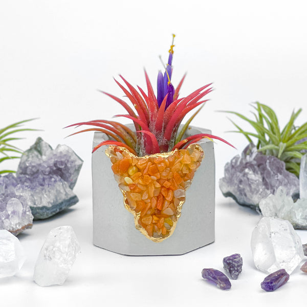 RED AVENTURINE GEODE PLANTER