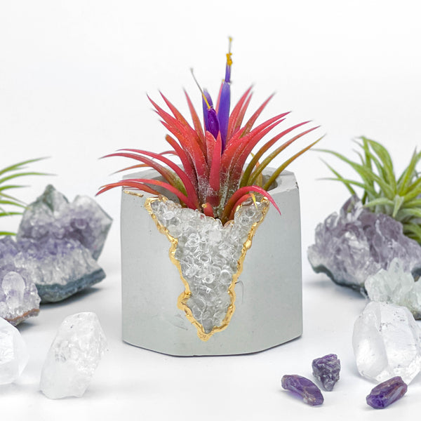 CLEAR QUARTZ GEODE PLANTER
