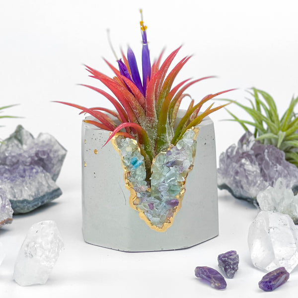 FLUORITE GEODE PLANTER