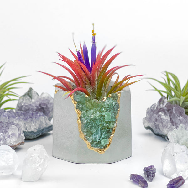GREEN APATITE GEODE PLANTER