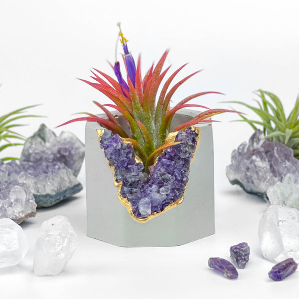 AMETHYST GEODE PLANTER