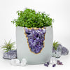 N°5 AMETHYST AURA PLANTER