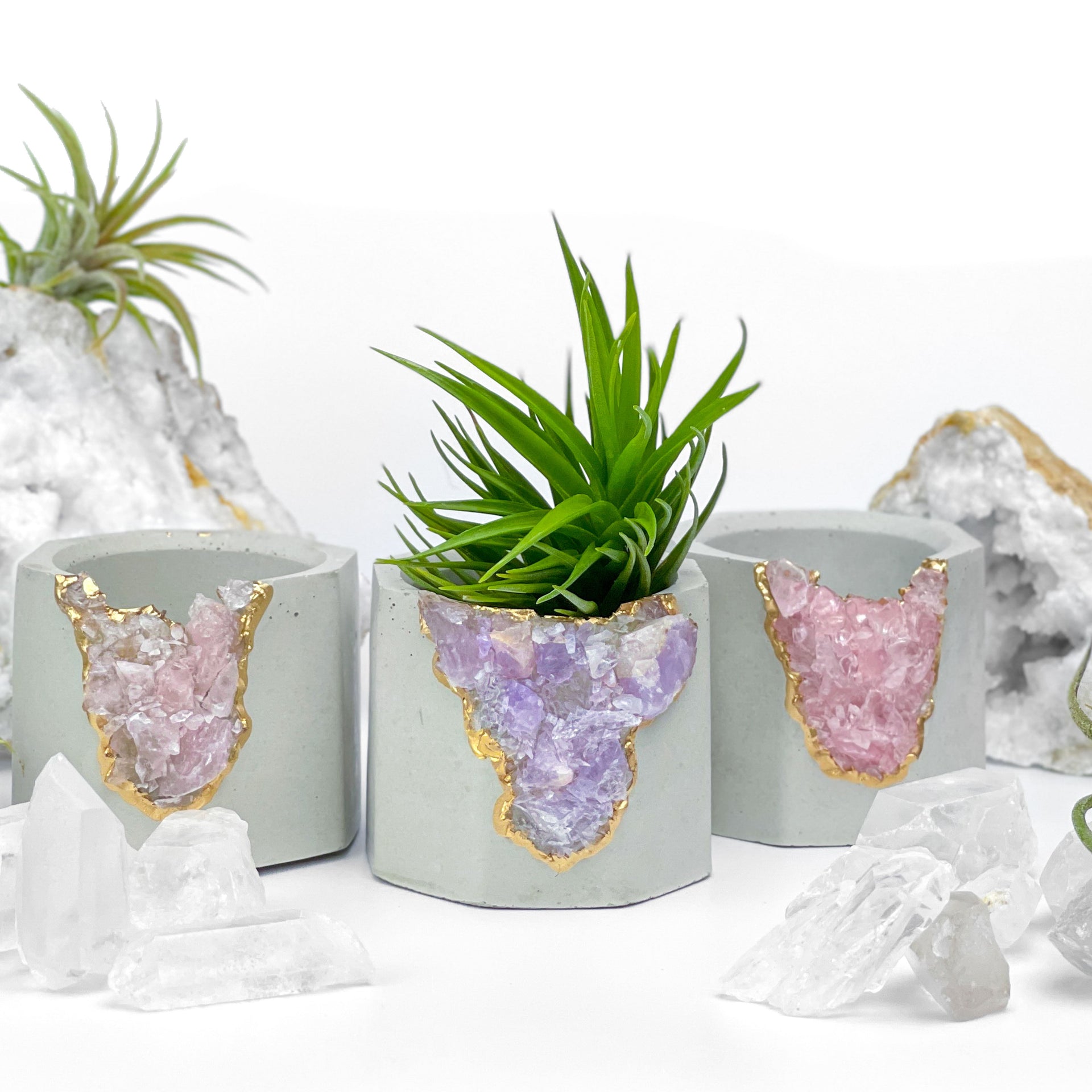 Madagascar AMETHYST GEODE PLANTER