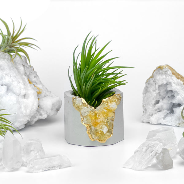 Raw CITRINE GEODE PLANTER