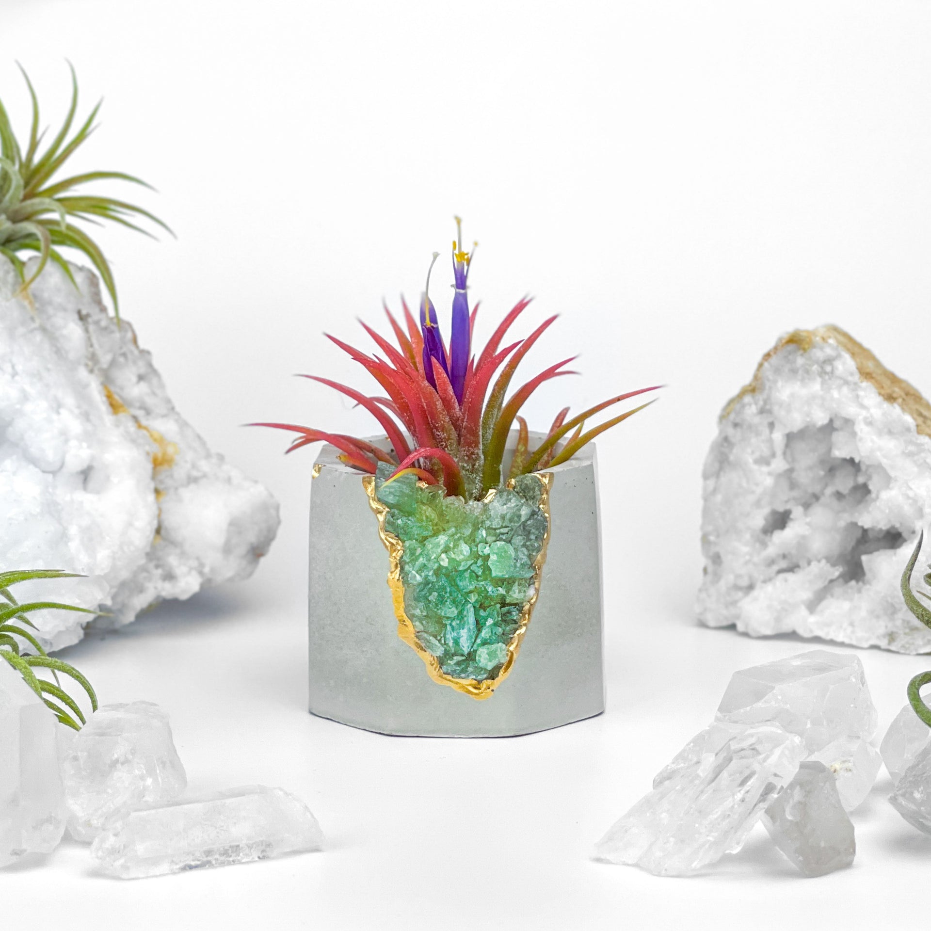 GREEN APATITE GEODE PLANTER