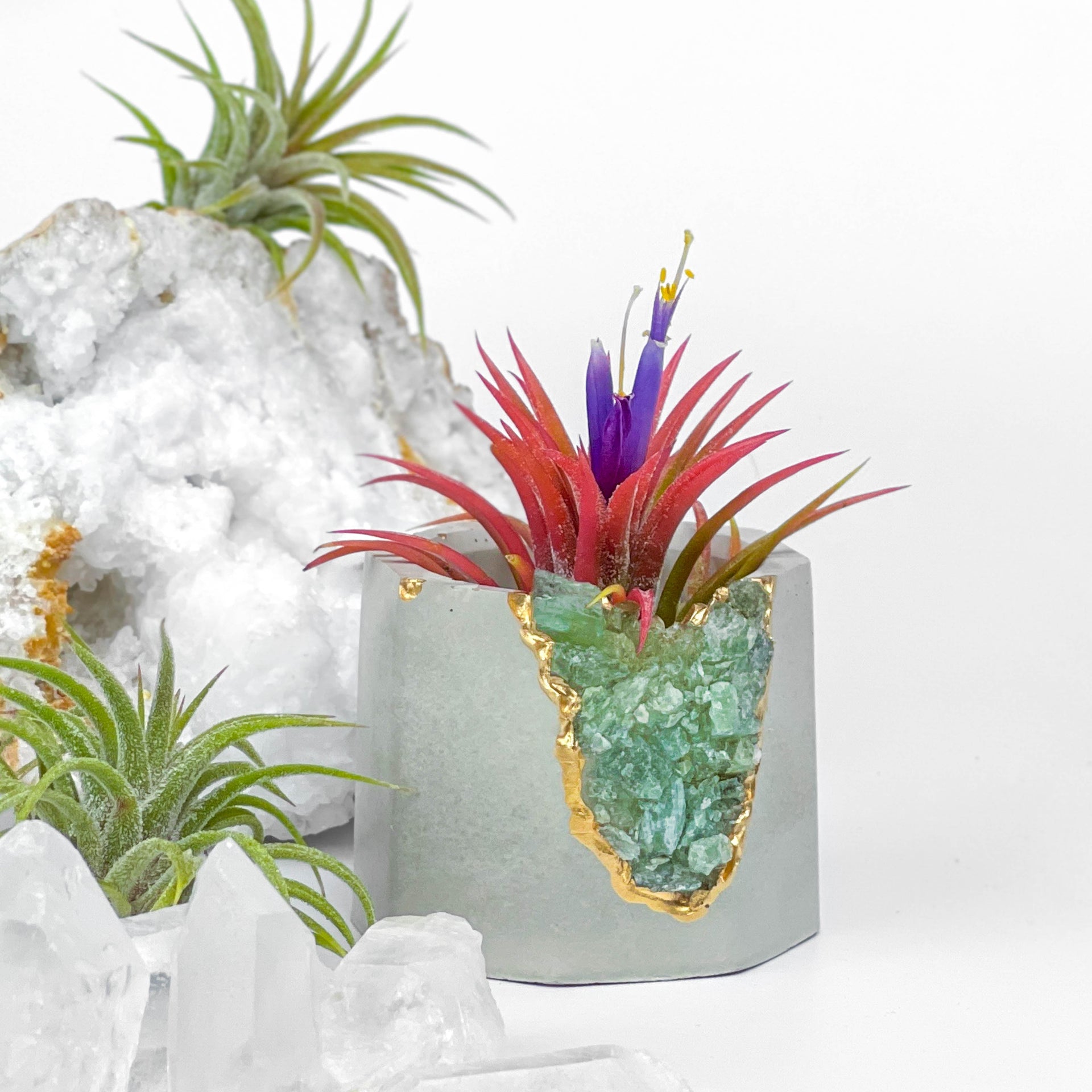 GREEN APATITE GEODE PLANTER