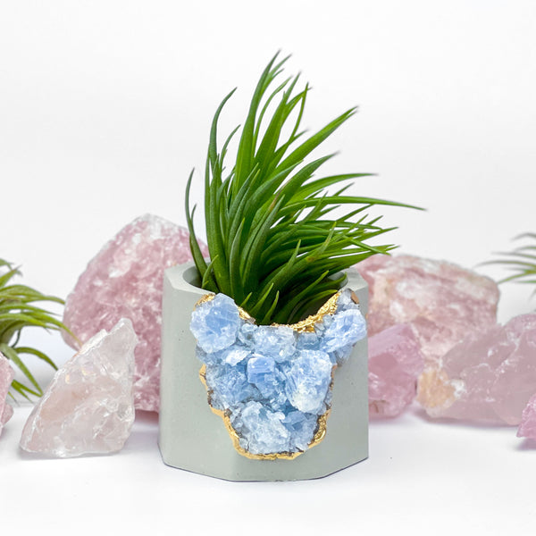 BLUE CALCITE GEODE PLANTER