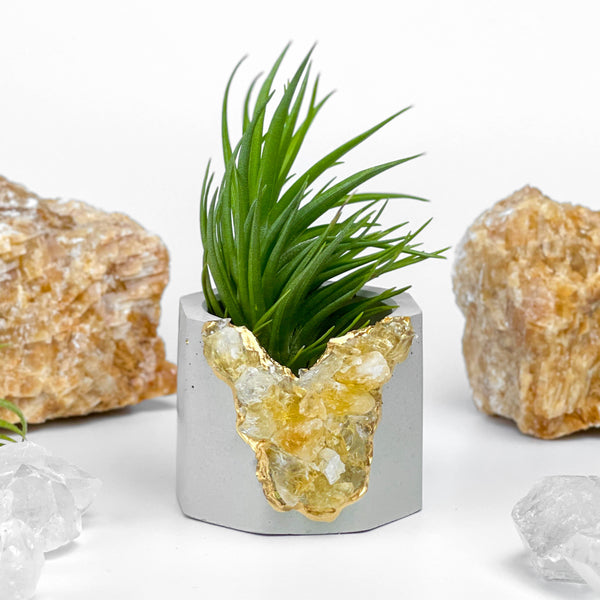 Raw CITRINE GEODE PLANTER