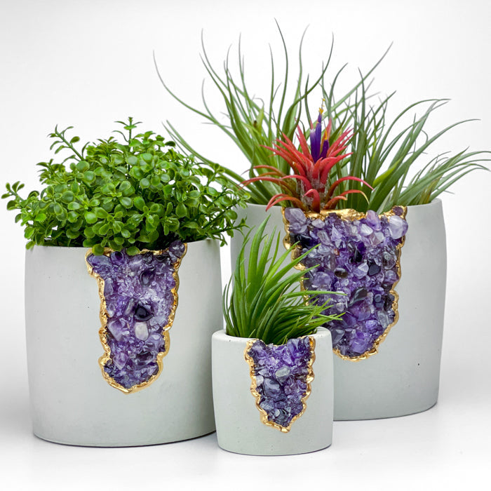 N°5 AMETHYST AURA PLANTER
