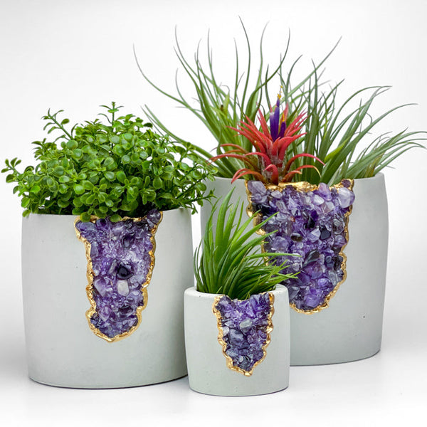 N°5 AMETHYST AURA PLANTER