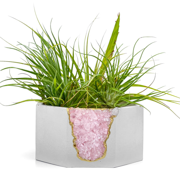 ROSE QUARTZ GEODE PLANTER