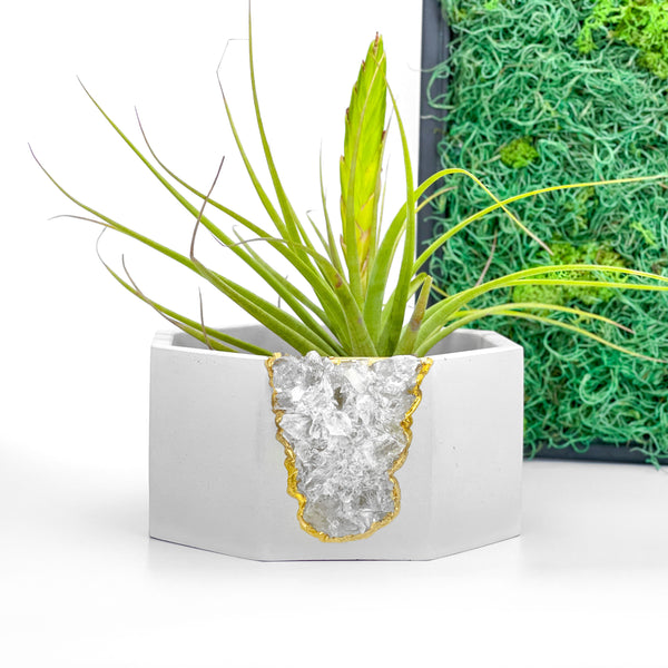 Raw CLEAR QUARTZ GEODE PLANTER