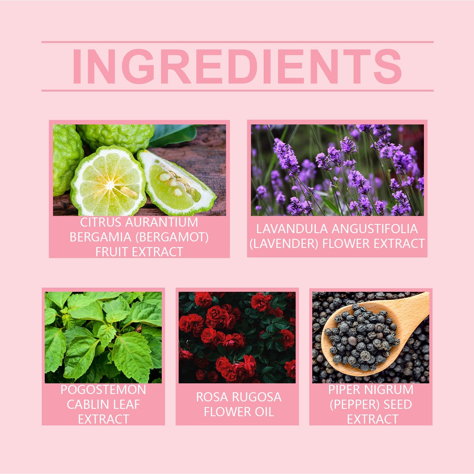 Fresh Perfume Bubble Bath, Holiday Eau De Toilette Lasting Fragrance Elegant Style To Highlight The Temperament And Fragrance