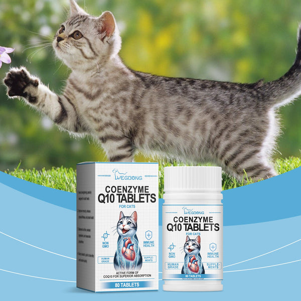 Cats Protect Health And Vitality With Coenzyme Tablets Coenzyme Q10 For Cats To Absorb Nutritional Supplements