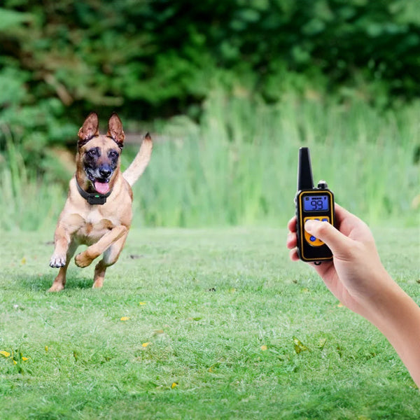 Dog training supplies - bark control device. The collar features electric shock and vibration for training.