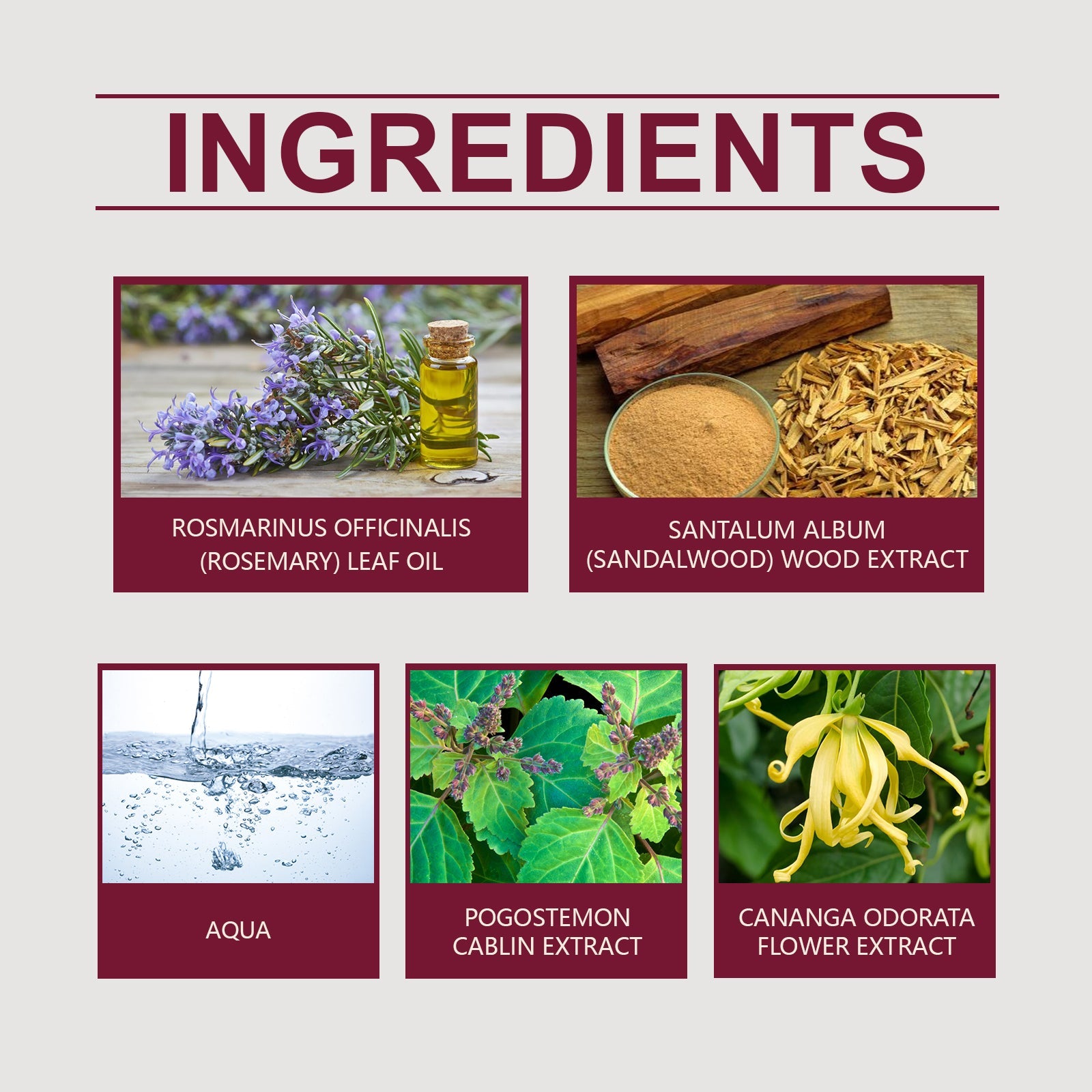 Dating Cologne, Lasting Fragrance Light Elegant Fresh Exudes Personal Charm Atmosphere Cologne