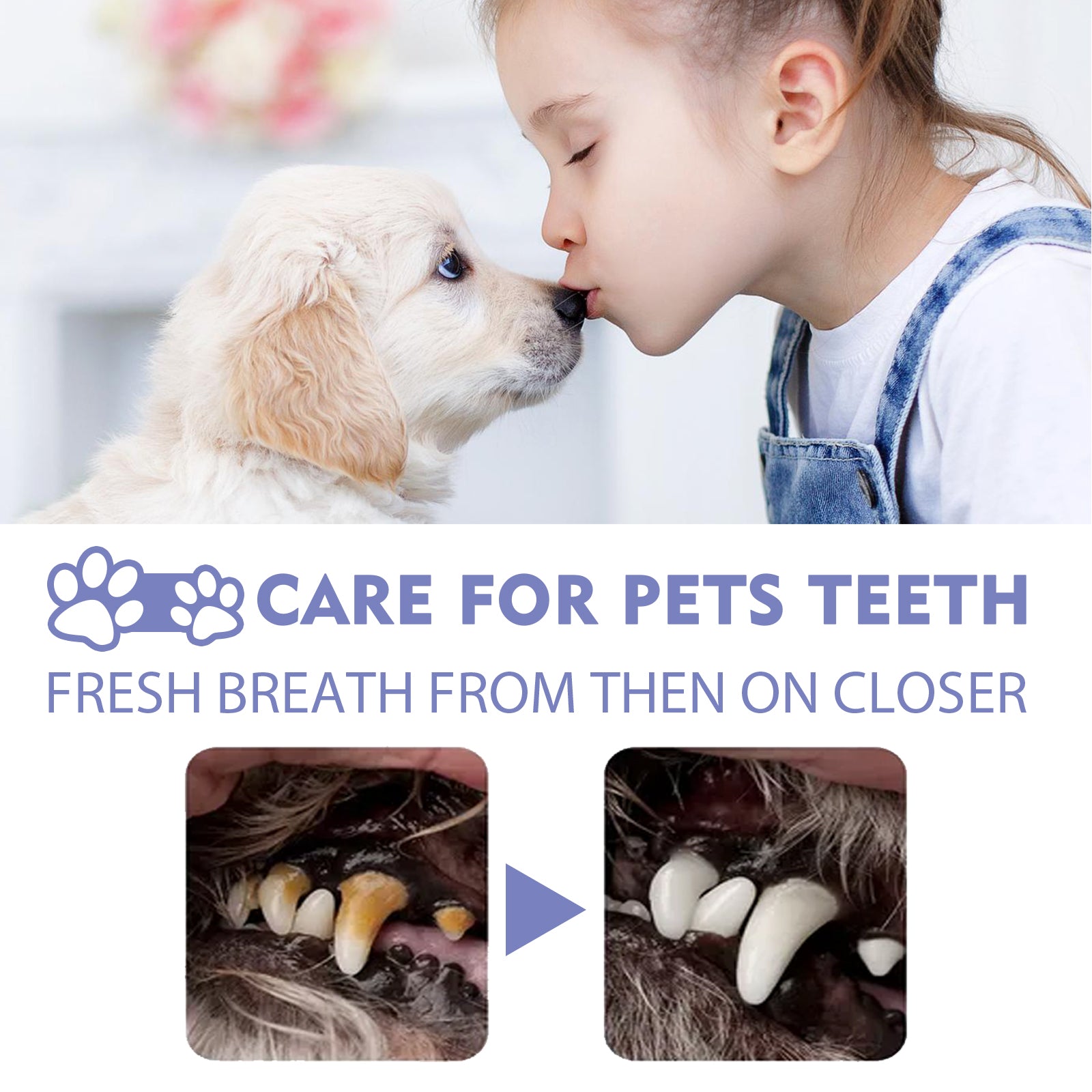 Dog And Cat Tooth Cleaning Spray, Pet Mouth Cleaning Breath Fresh Deodorizing Cleaning Spray