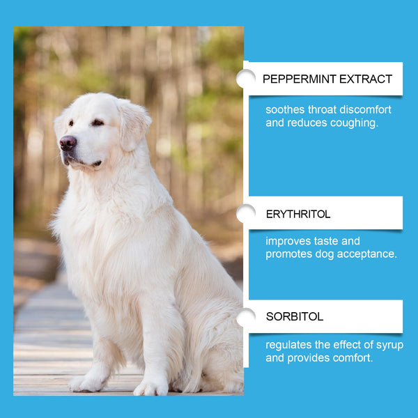 Dog Syrup, Pet Dogs Absorb Nutrition Care Health Special Maintenance Supplement Syrup