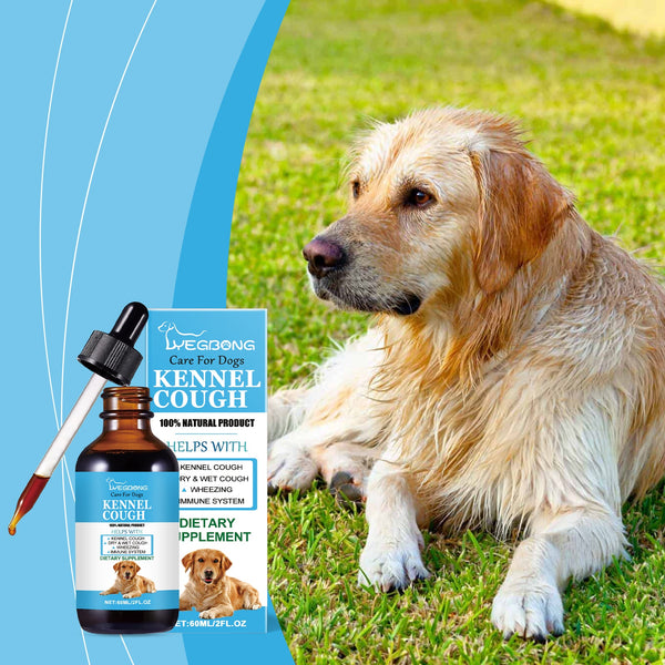Dog Syrup, Pet Dogs Absorb Nutrition Care Health Special Maintenance Supplement Syrup