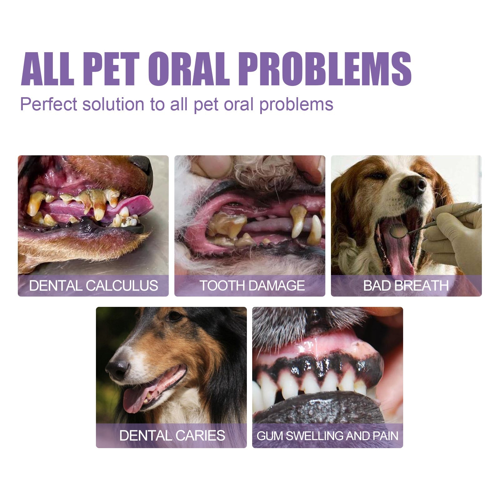 Pet Oral Repair Gel, Deep Cleaning Dog And Cat Tooth Stains Oral Cleaning Care