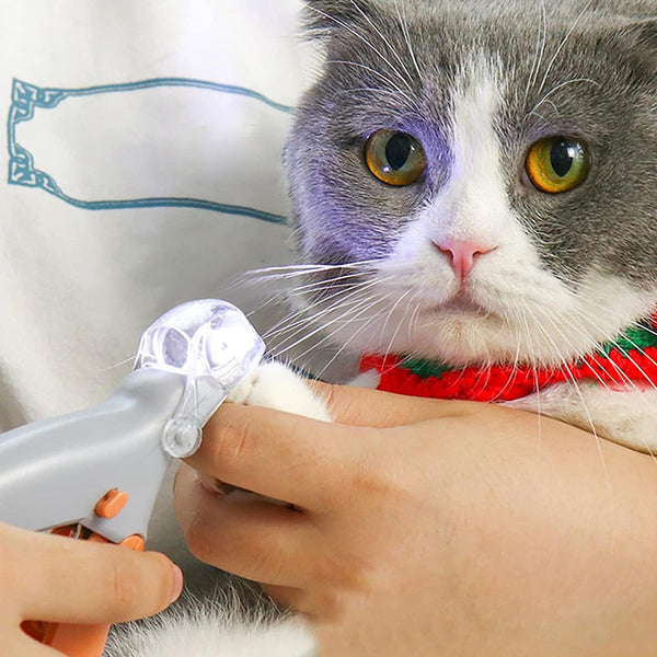 Professional LED - lit pet nail clippers for cats and dogs. Toe - claw cutting tool, pet supplies.