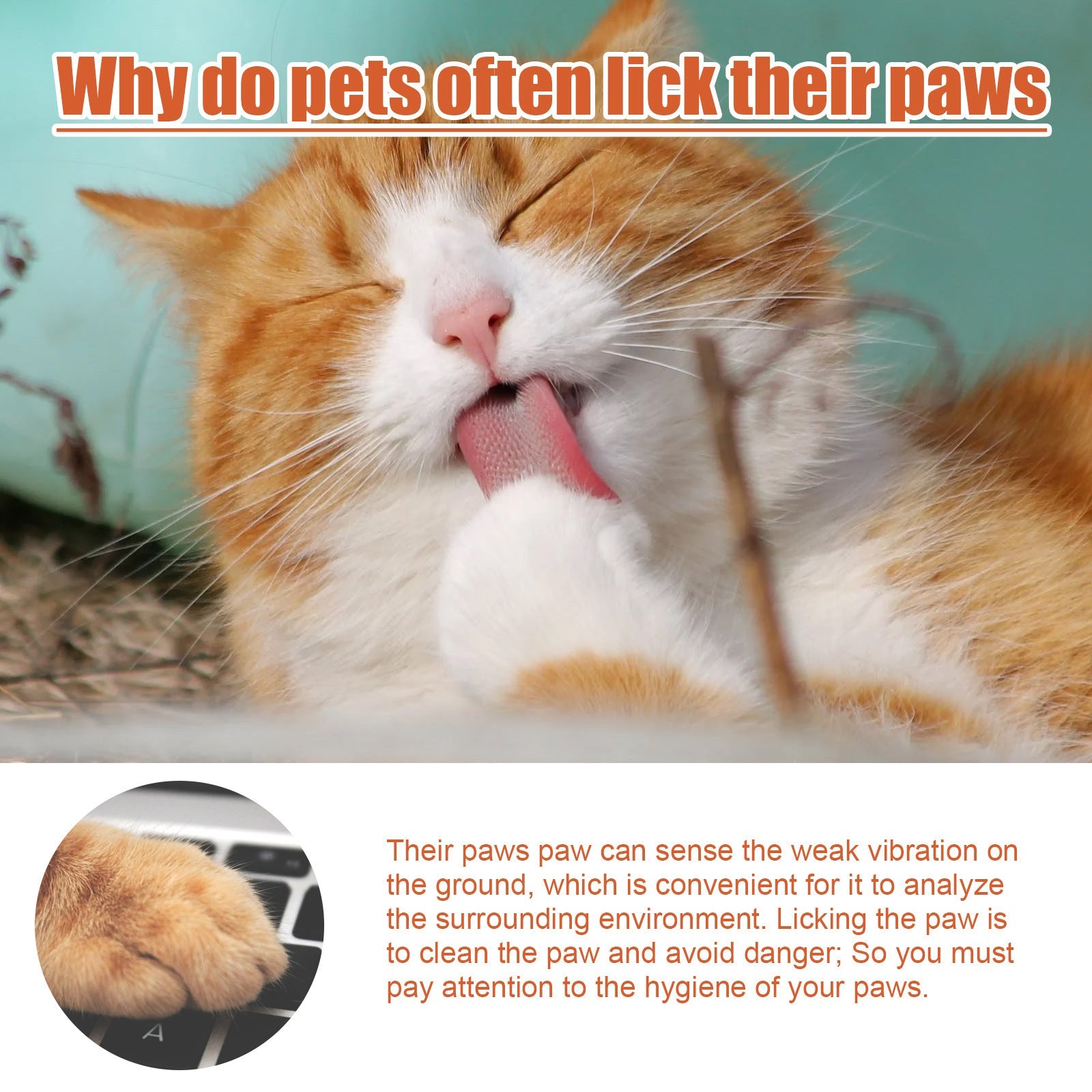Pet Foot Care Cream For Animals, Cats, Dogs And Paws Foot Care Cream For Soles And Pads