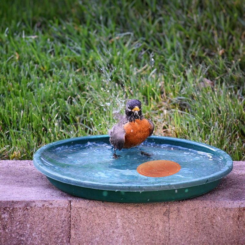 Universal Bird Bath Copper Tray with 3-point Support Purification Plate – for Outdoor Bird Baths & Feeding Bowls