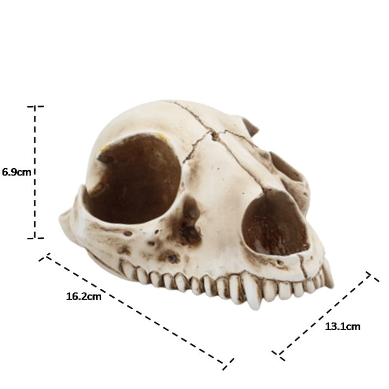 Cat Bone Base Seasoning Bottle Set Household Combination Glass Seasoning Jar Kitchen Storage Bottle