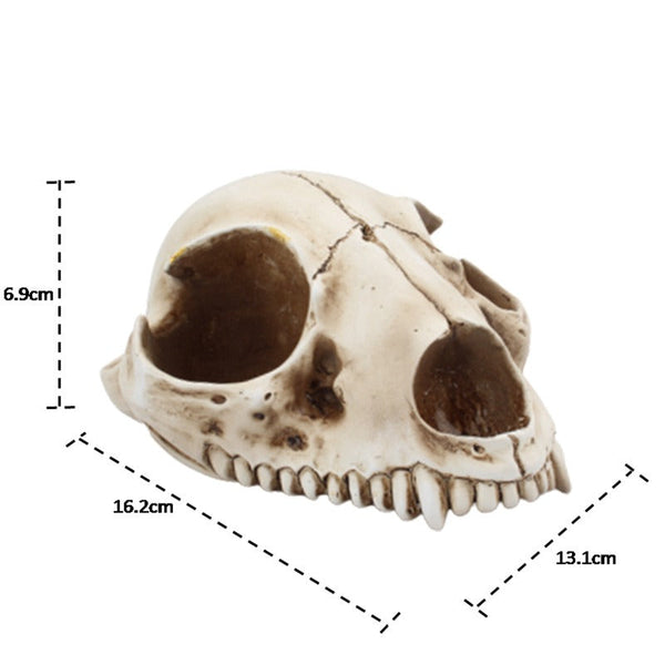 Cat Bone Base Seasoning Bottle Set Household Combination Glass Seasoning Jar Kitchen Storage Bottle